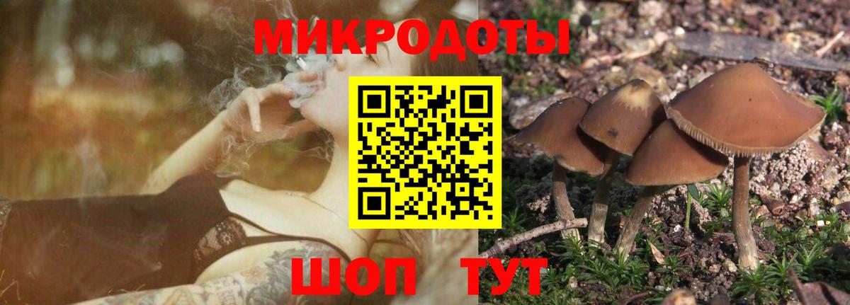 ЭКСТАЗИ Торжок